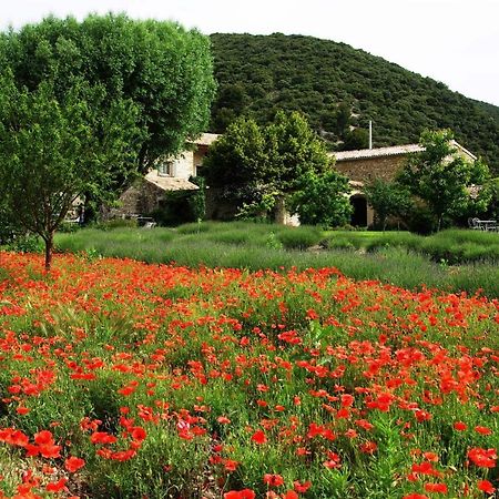 Le Mas De La Fontaine Bed and Breakfast Le Pegue Esterno foto