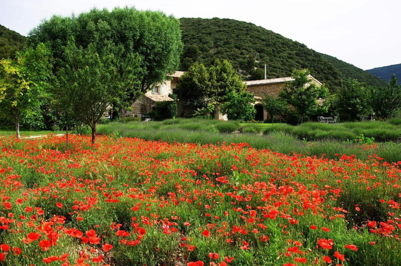 Le Mas De La Fontaine Bed and Breakfast Le Pegue Esterno foto