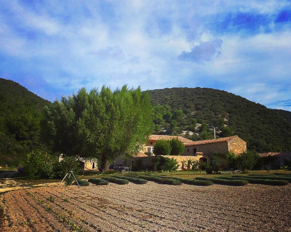 Le Mas De La Fontaine Bed and Breakfast Le Pegue Esterno foto