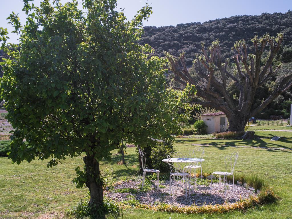 Le Mas De La Fontaine Bed and Breakfast Le Pegue Esterno foto